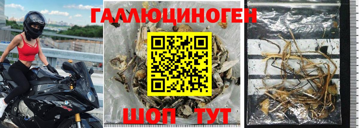 Псилоцибиновые грибы прущие грибы Клин