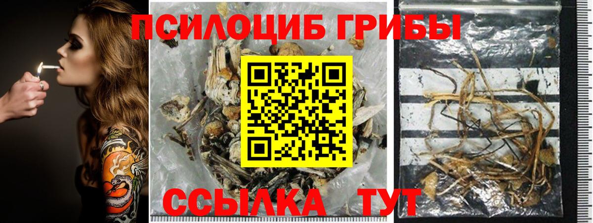 Клин  Псилоцибиновые грибы прущие грибы  Вход с VPN 