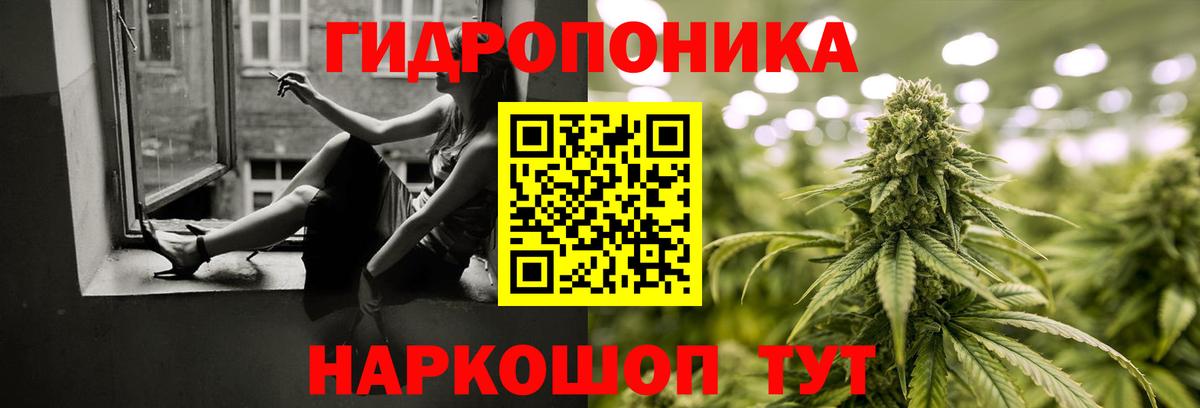 Канабис индика Клин